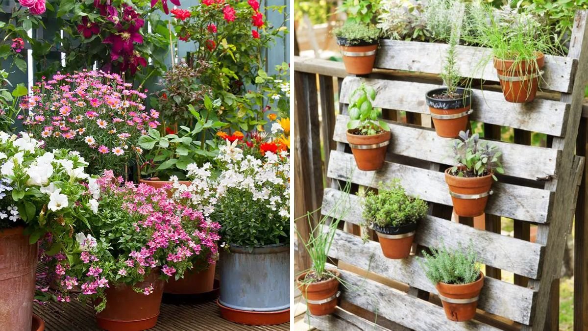 Gardening Ideas: Beautiful Planting Tips to Transform Your Home and Garden