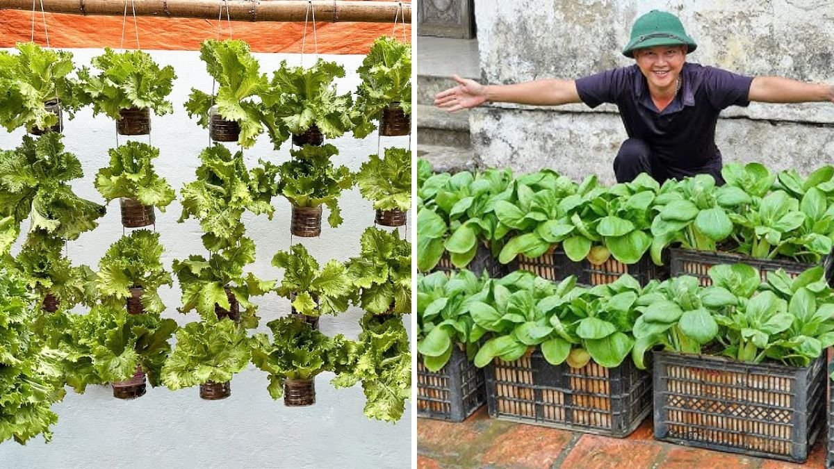 Lazy Gardener’s Paradise: The No-Garden, No-Maintenance Method to Grow Fresh Vegetables All Year!