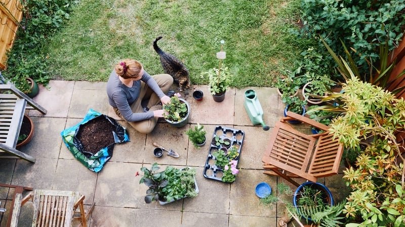 10 must-do gardening jobs to do in February