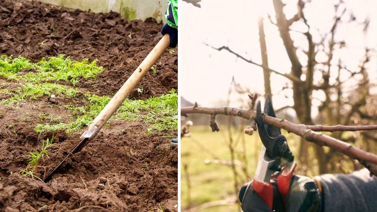 Think Your Garden Is Done for Winter? These 5 Chores Are Still Worth Doing