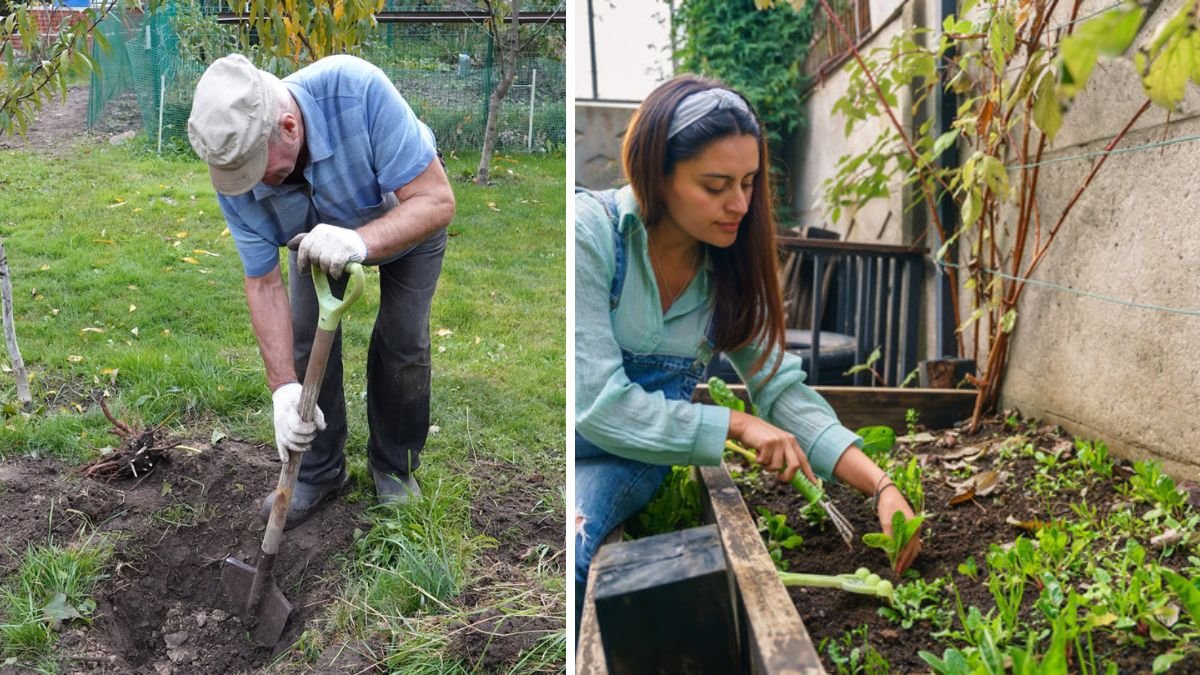 12 Old-School Gardening Habits It’s Time to Let Go Of