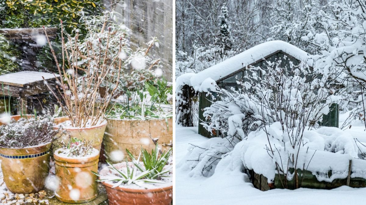 11 Late Winter Garden Planning Tricks That Save Space and Time