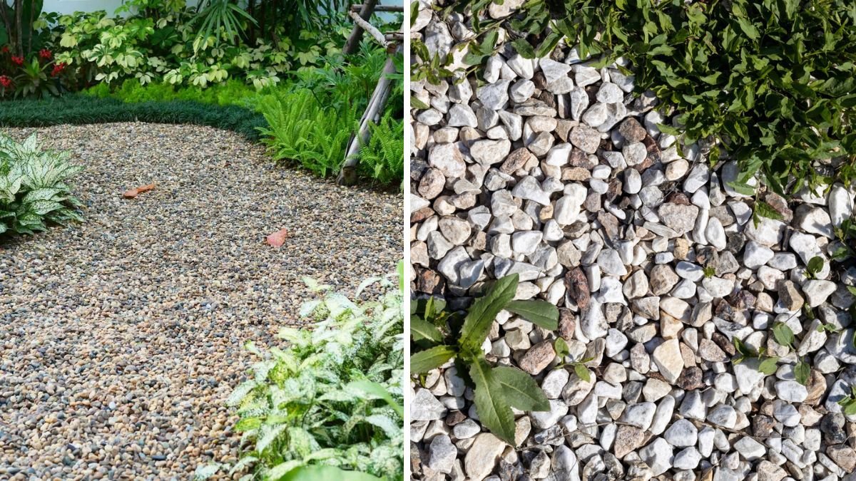 Expert Tips to Stop Weeds From Growing in Pea Gravel Once and for All