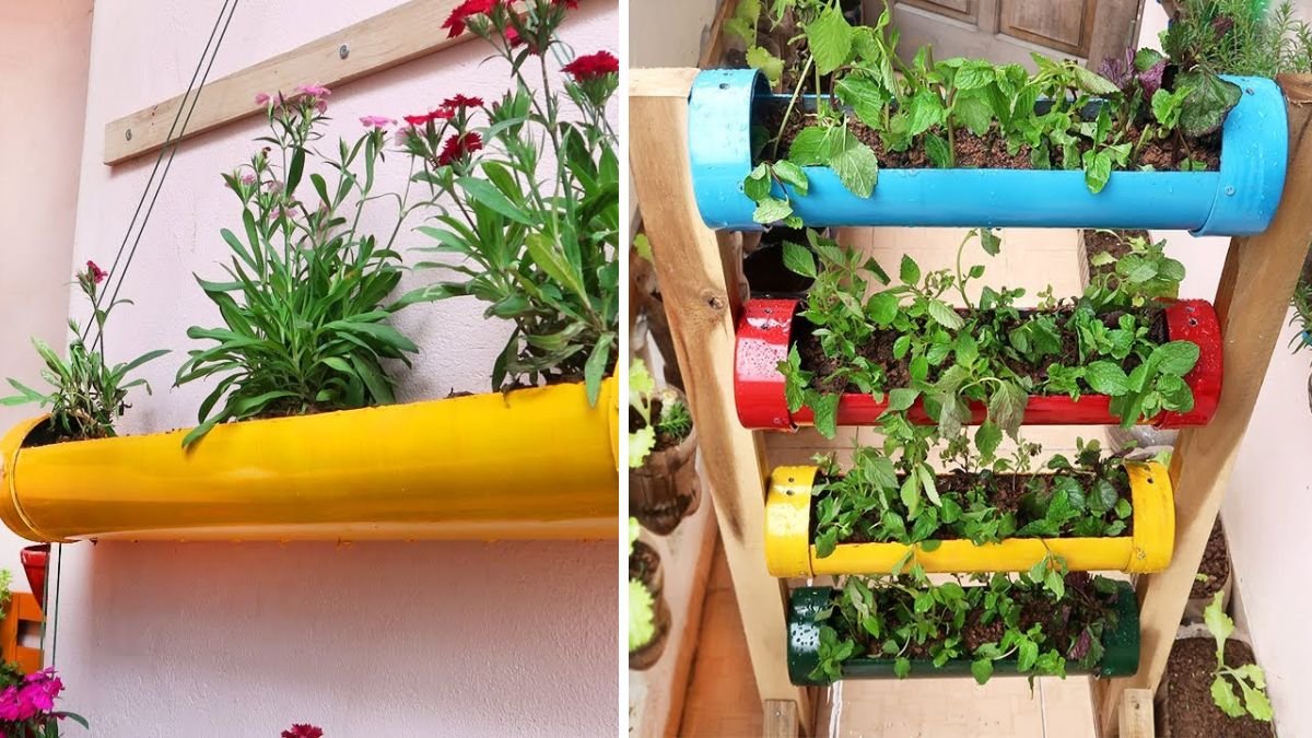 Amazing DIY Vertical Gardens from Plastic Pipes for Small Gardens