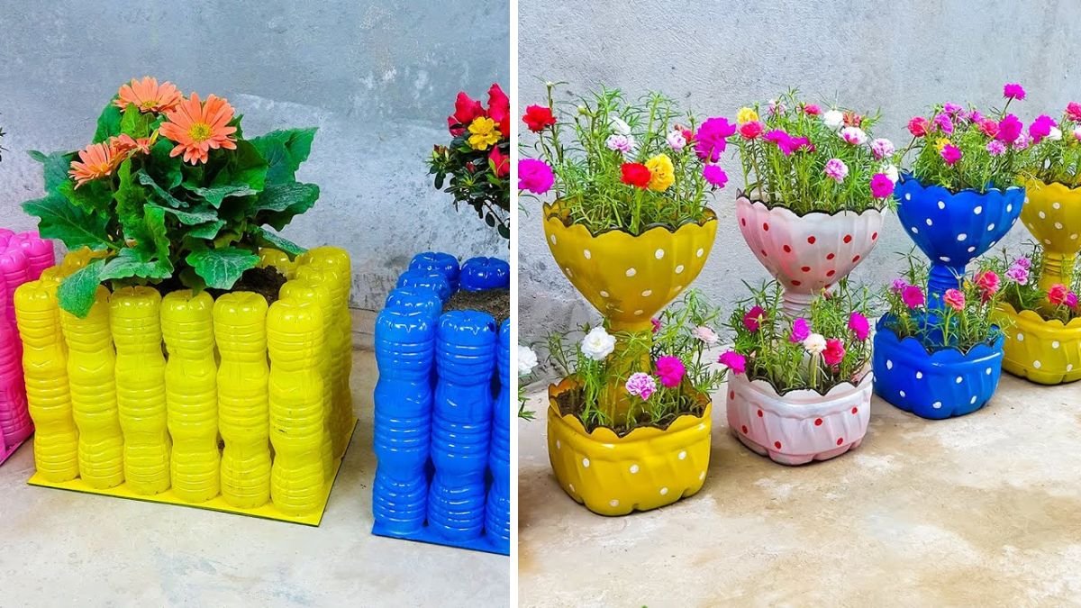 Recycle Plastic Bottles into Beautiful Flower Pots: Eco-Friendly DIY Ideas and Sustainable Trends