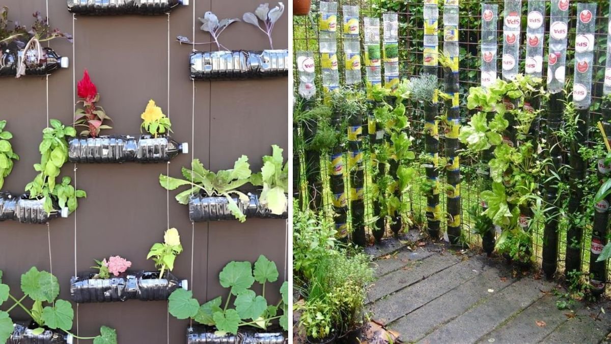 How to Create a Vertical Garden from Plastic Bottles: Easy DIY Guide for Sustainable Living