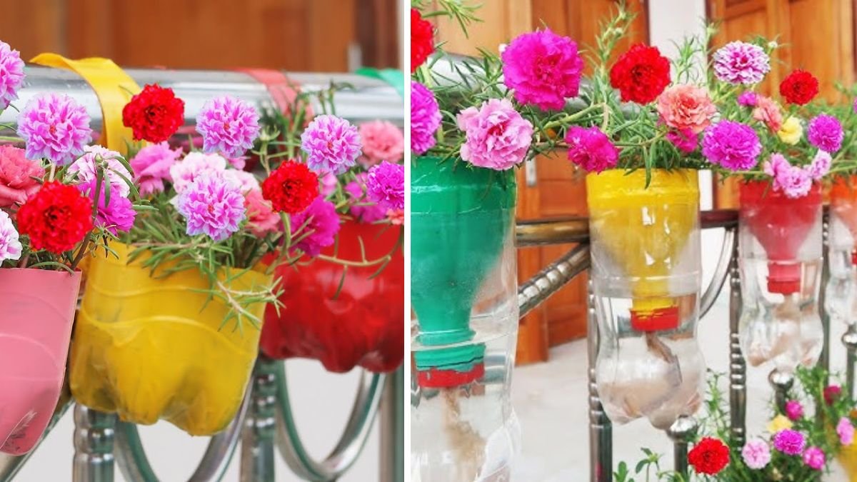 Beautiful 3‑Storey Hanging Garden from Plastic Bottles for Small Spaces: DIY & Sustainable Urban Greenery