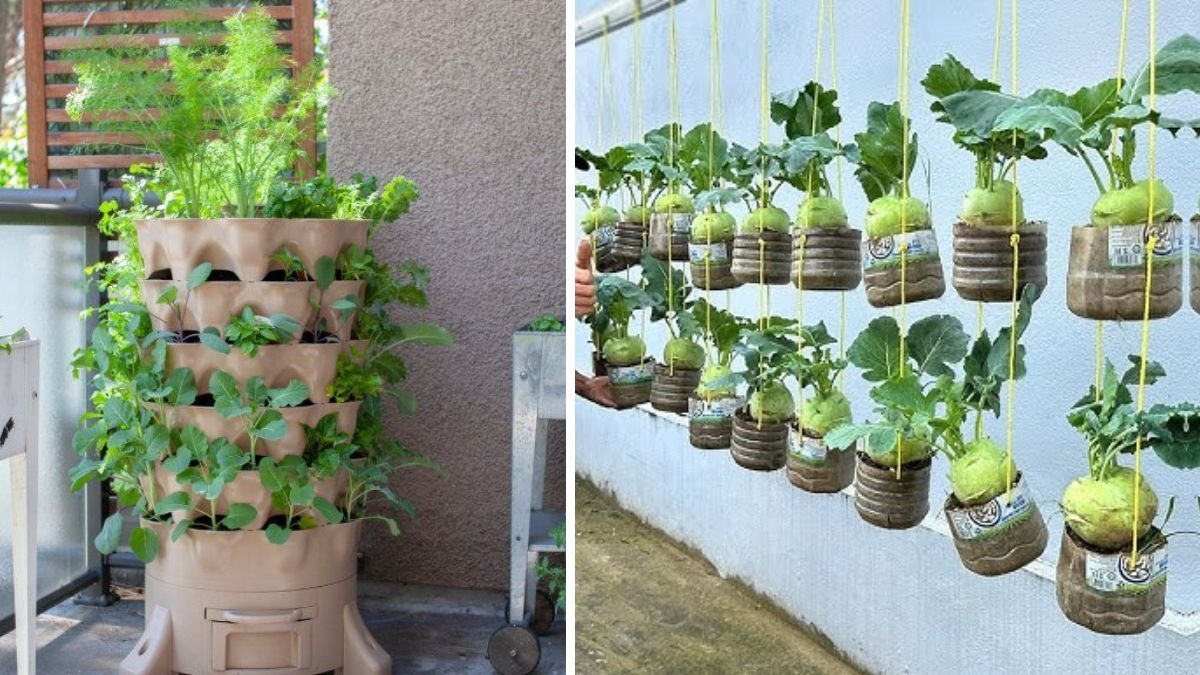 Amazing Vegetable Garden on the Balcony with Perfect Hanging Garden Ideas