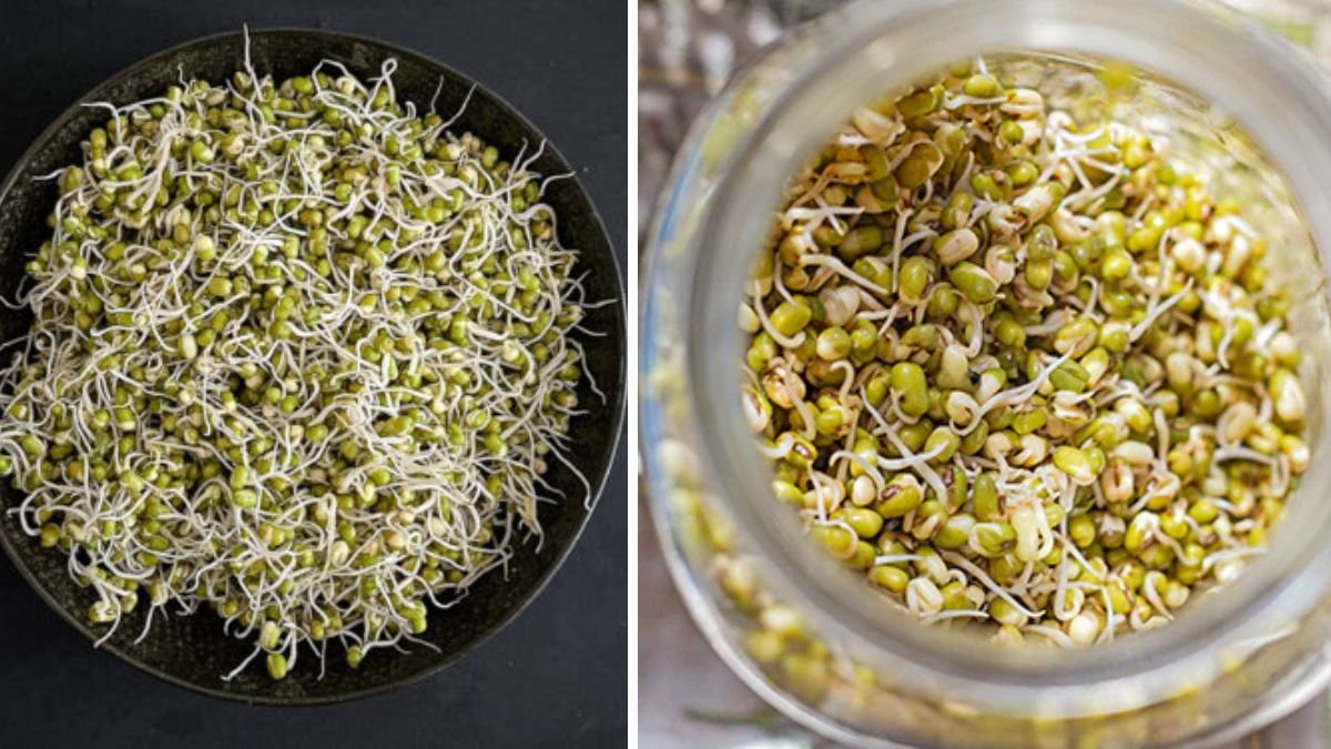 First Time Making Bean Sprouts From Peanuts And The End Is Surprisingly Healthy