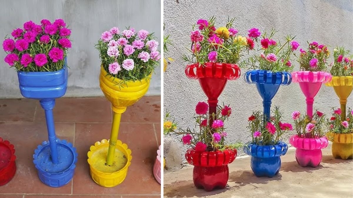 How to Create a Vertical Garden from Plastic Bottles: Easy DIY Guide for Sustainable Living