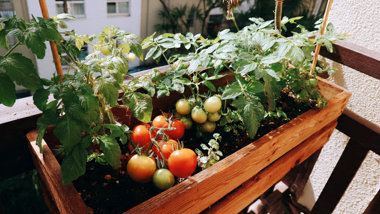 Balcony Garden Success Tips for Families Growing Fresh Food Together