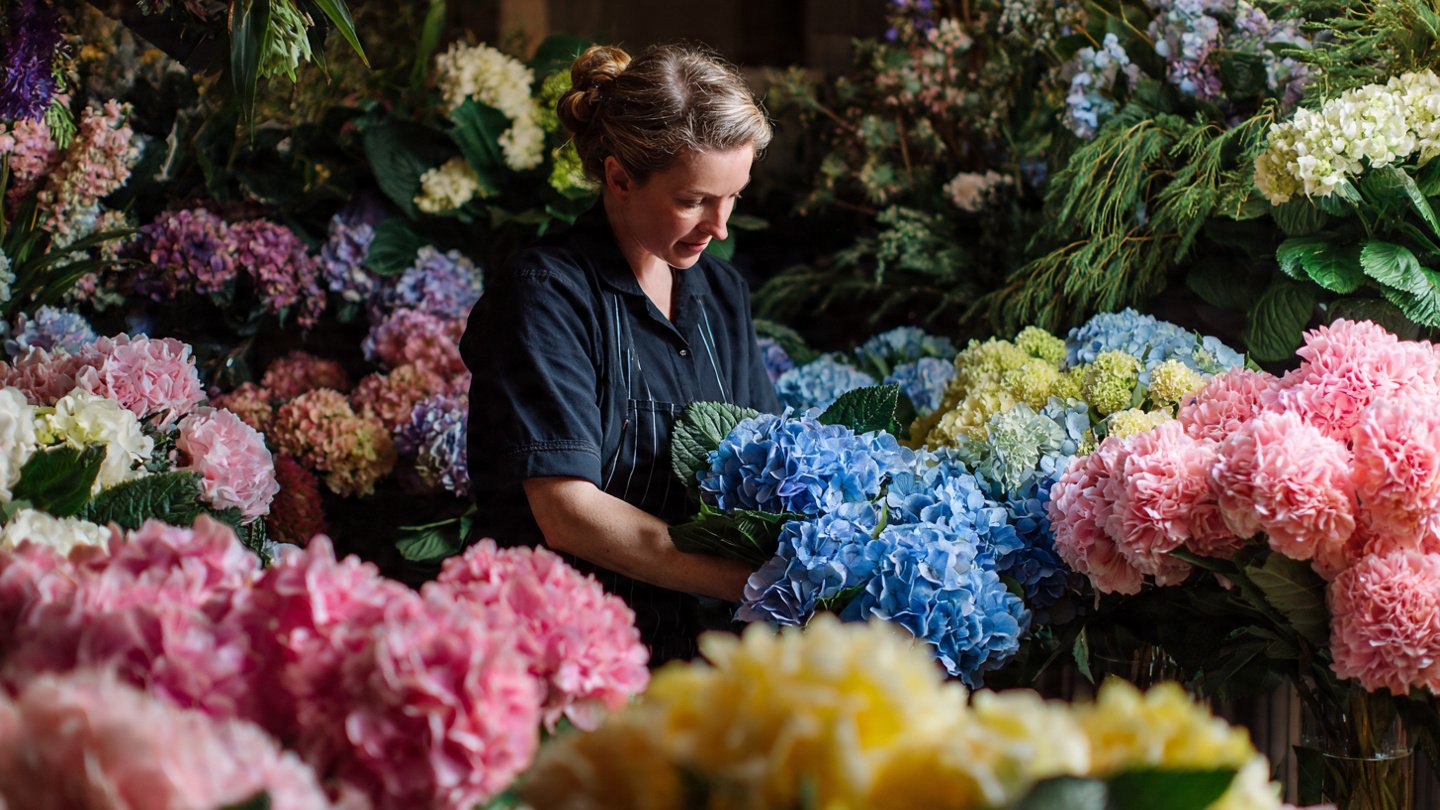 What Are the Best Tips for Growing Massive Blooms on a Budget?