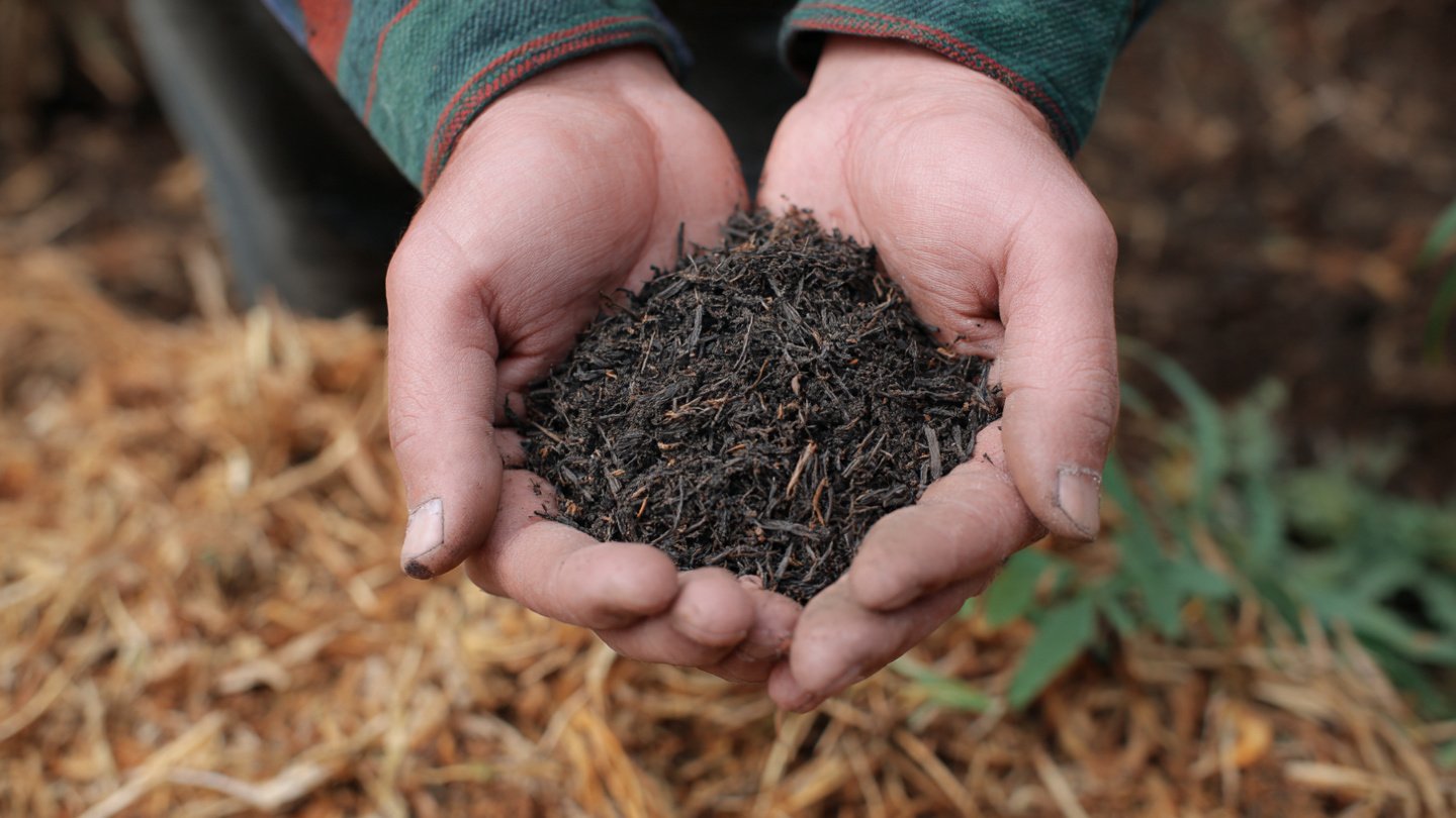 How Can Biochar Transform Your Garden Soil for the Better?