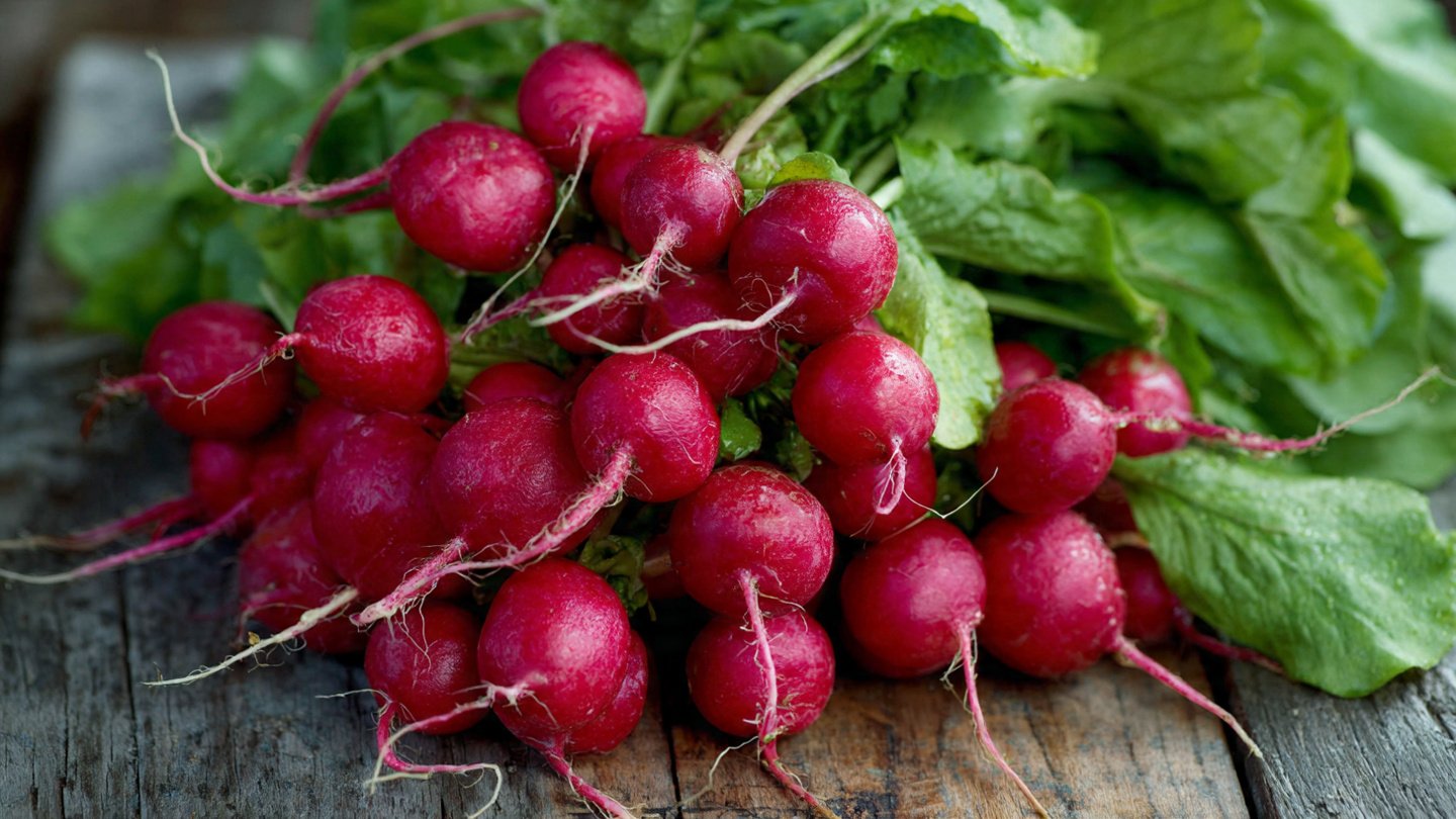 How Can You Grow Radishes in Less Than Three Weeks?