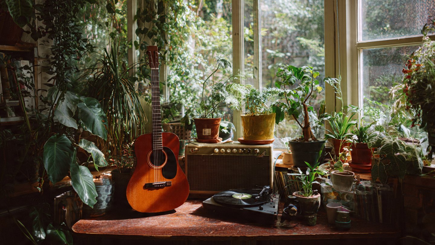 Curiosity Unveiled: How Does Music Influence Plant Growth?