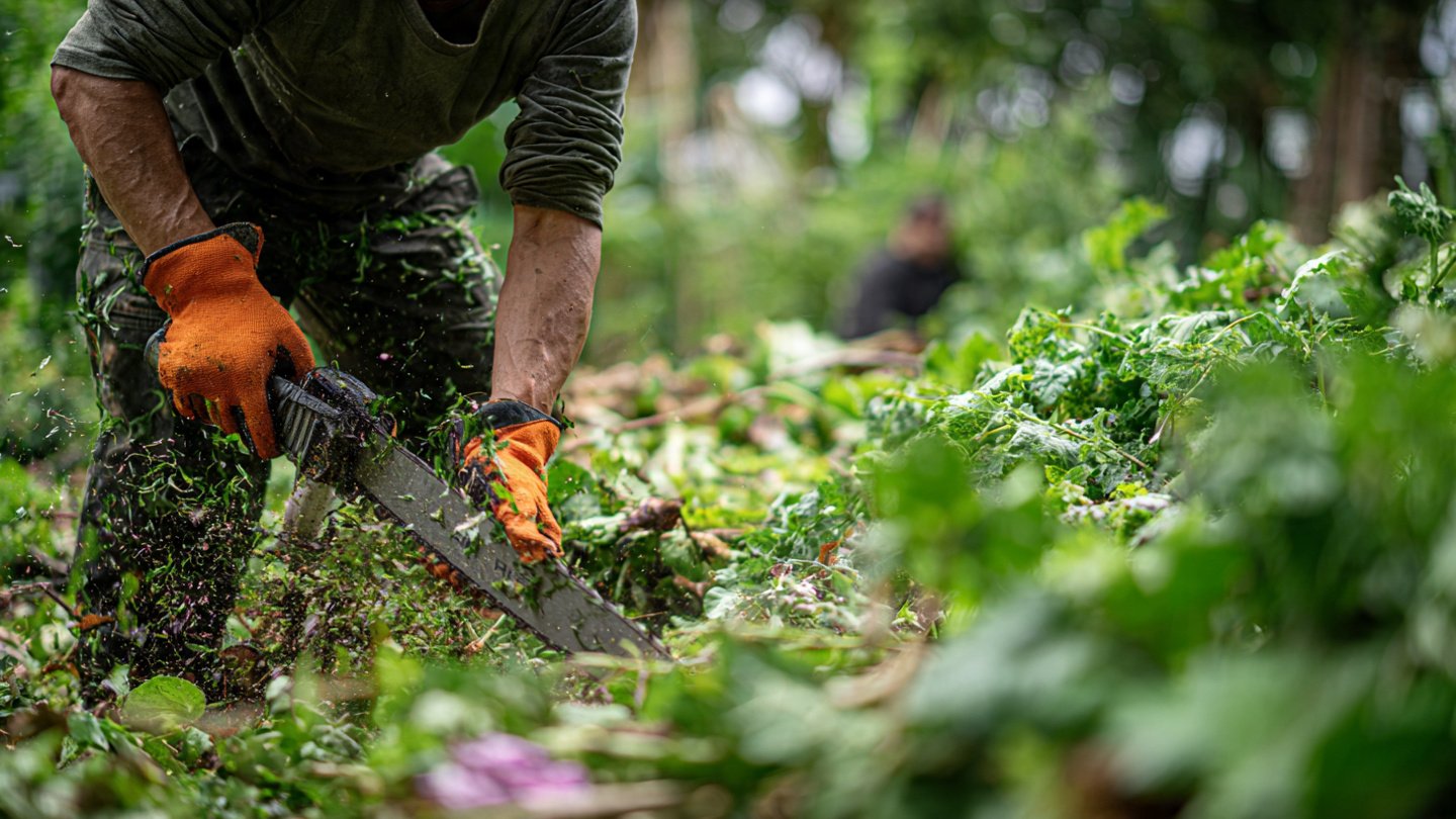 Why Do Professional Gardeners Prefer the Chop and Drop Method?