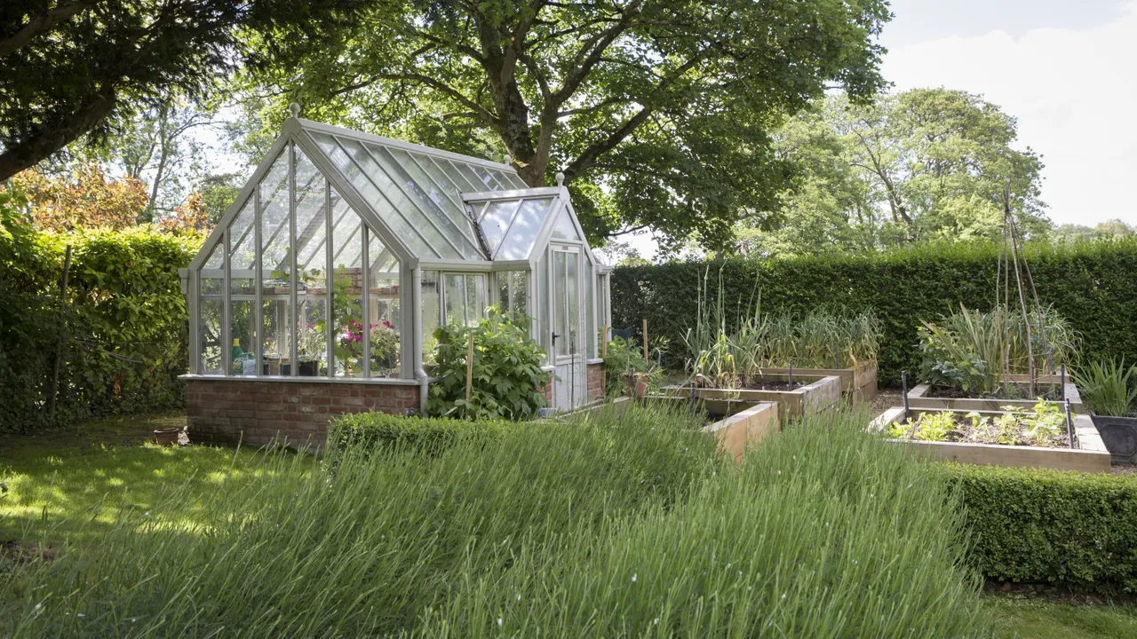 I Do This One Tidy-up in My Greenhouse Every January, and It Saves Me Hours Come Spring